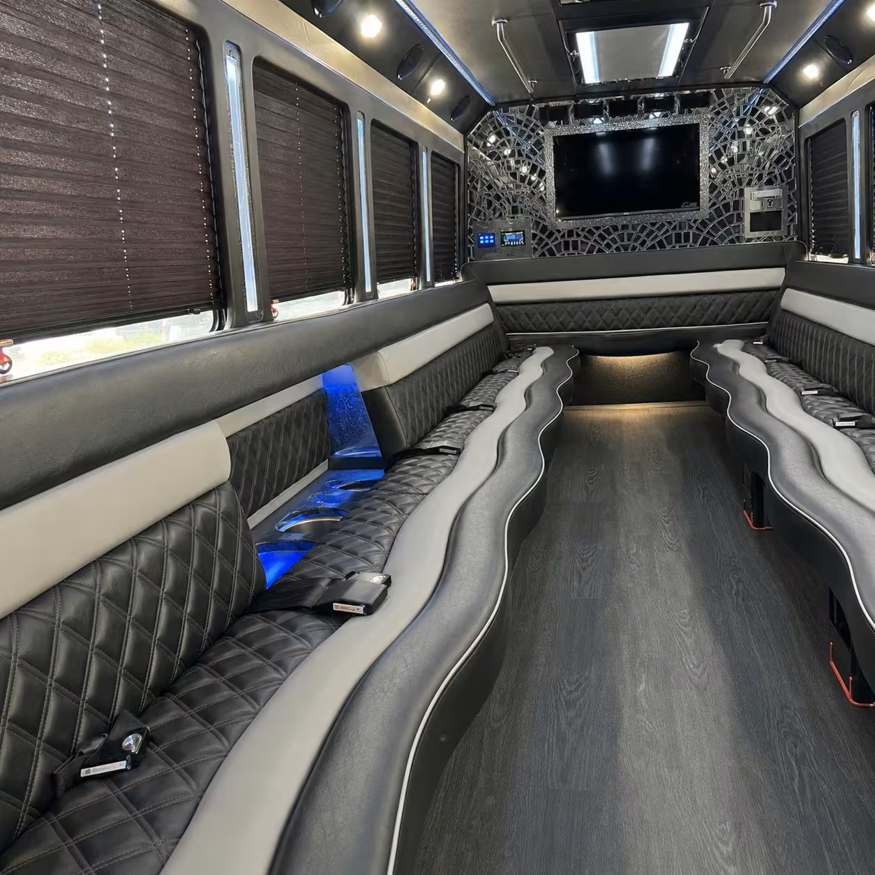20 passenger party bus interior