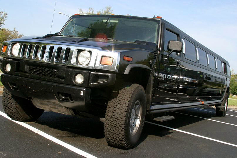 Denver 20 Passenger Limo